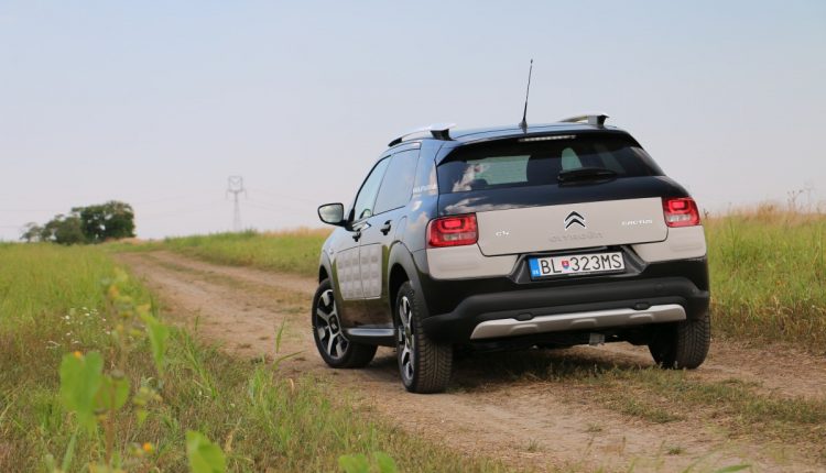 Citroen C4 Cactus RipCurl 005